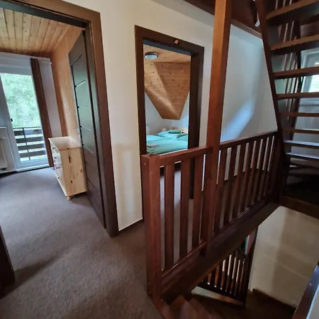 Adam デマノブスカ・ドリーナ