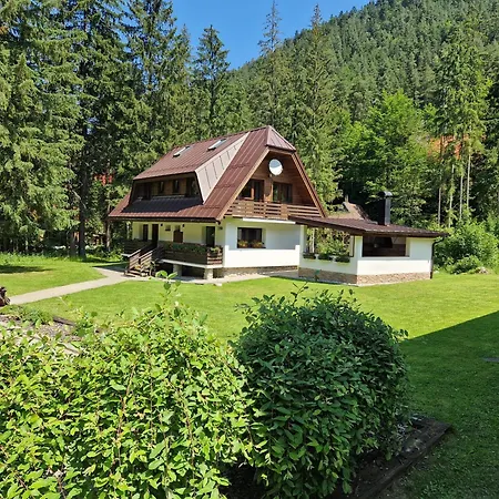 Adam シャレー デマノブスカ・ドリーナ